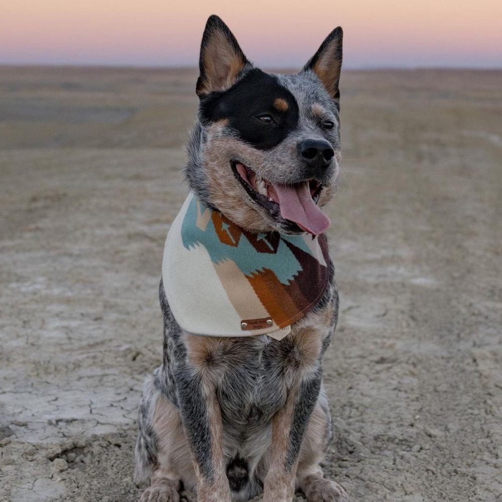Printed wool dog bandana Pacific North designs